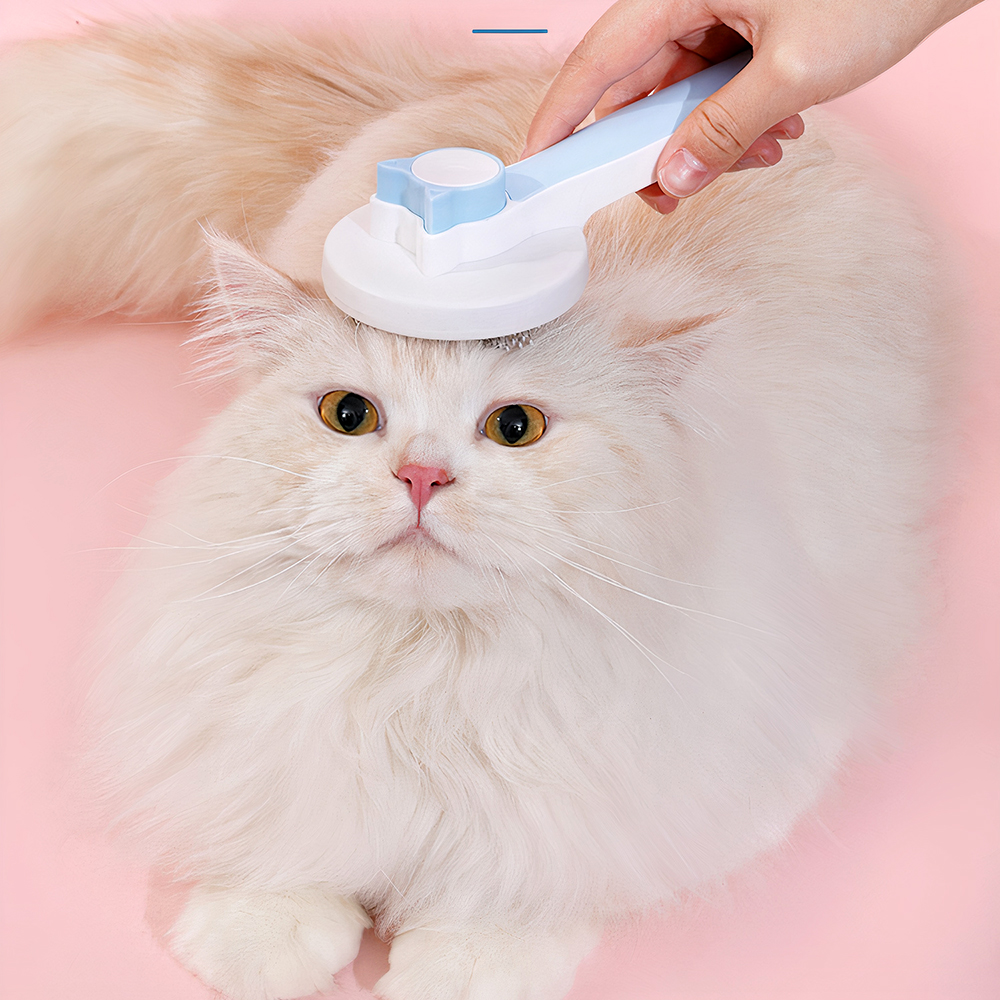 dụng cụ vệ sinh và cắt móng là phụ kiện không thể thiếu khi nuôi mèo