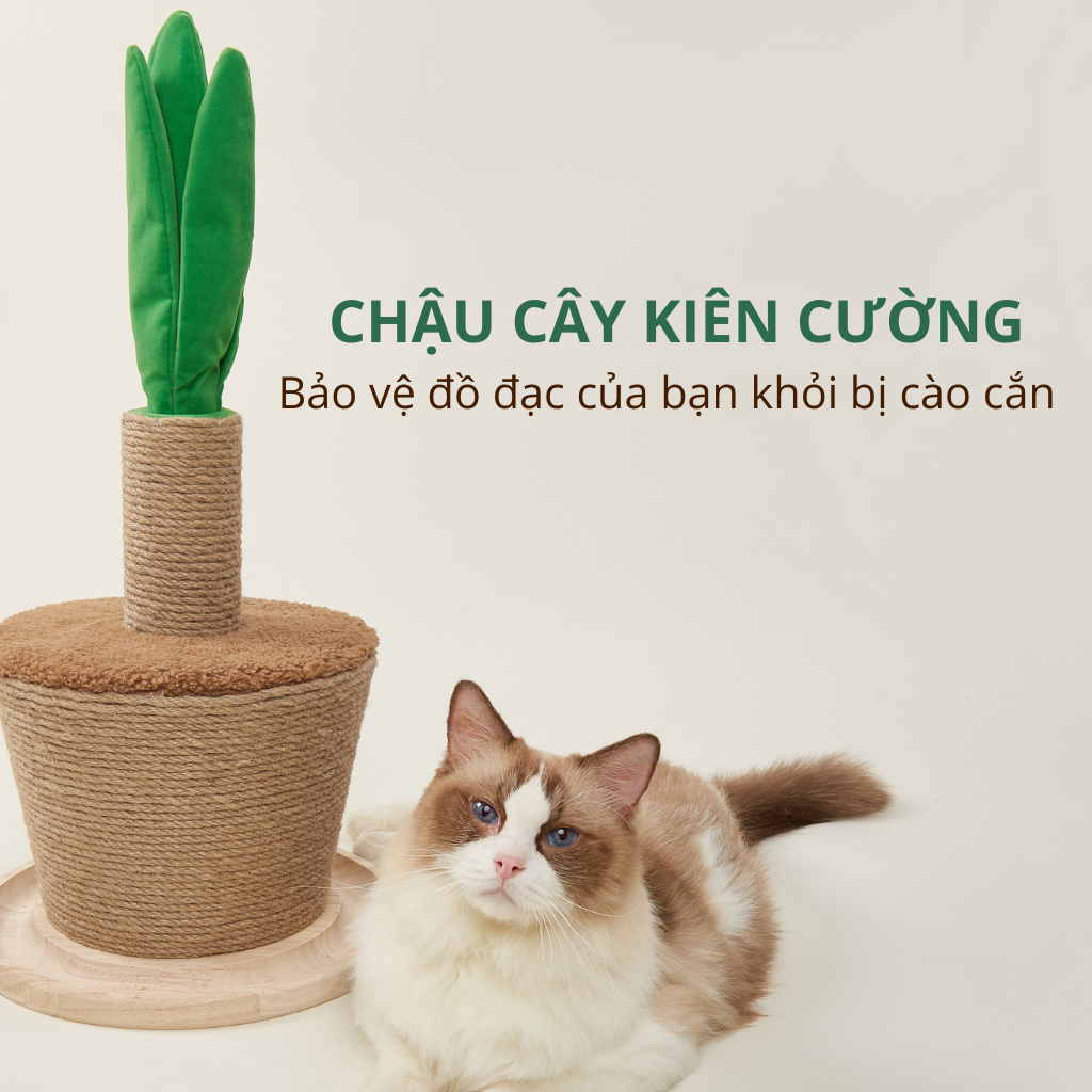 trụ cào cho mèo chất liệu sisal lý tưởng chống cào sofa