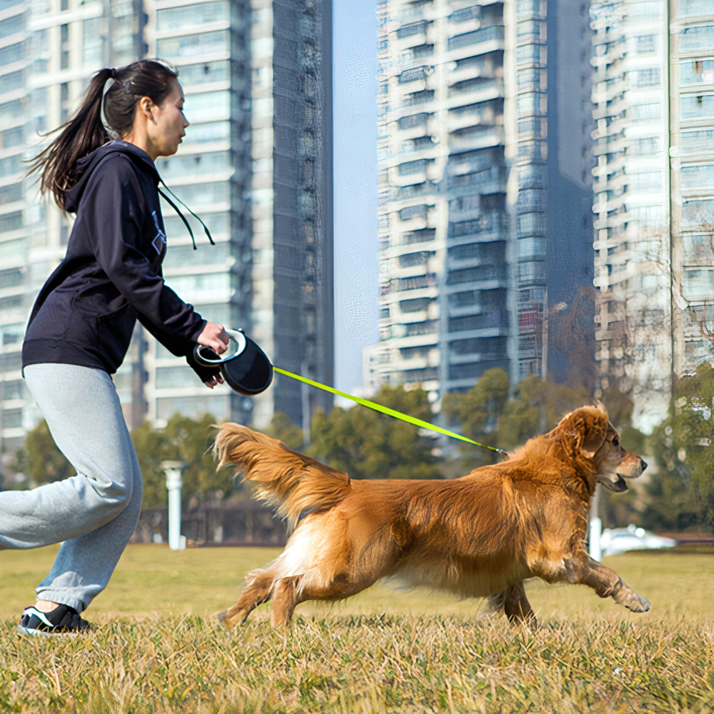 cơ chế hoạt động của dây dắt chó chống giật bungee leash