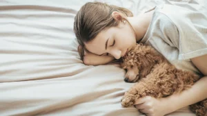 ảnh đại diện người và chó ngủ chung giường tăng cường gắn kết