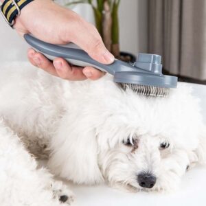 ảnh đại diện lược chải lông rụng tự làm sạch cho chó mèo
