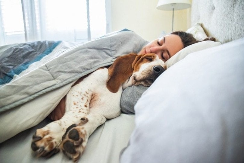 ảnh chụp người và chó ngủ chung giường tăng cường gắn kết