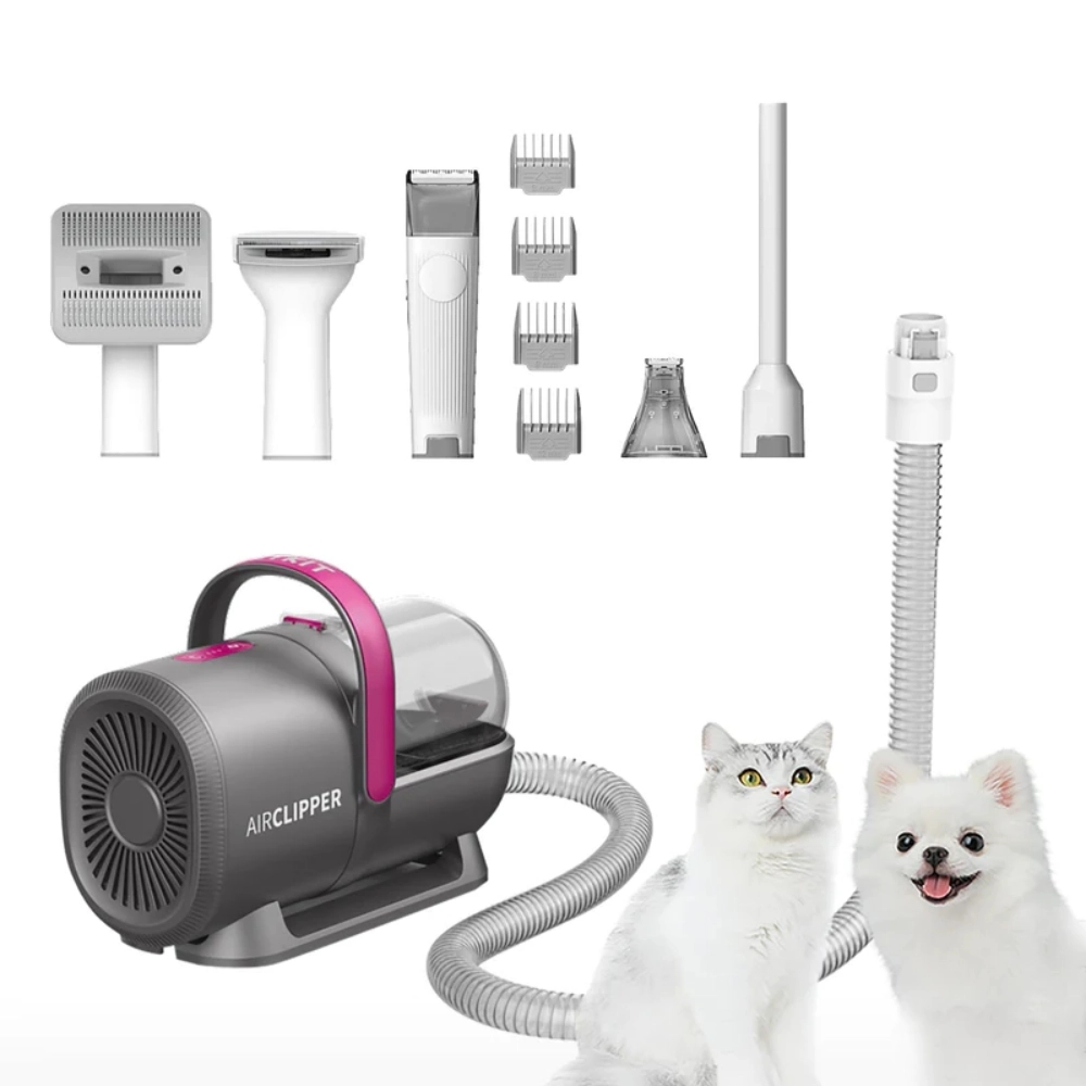 phụ kiện tắm và sấy khô cho chó tại nhà lược chải và máy sấy